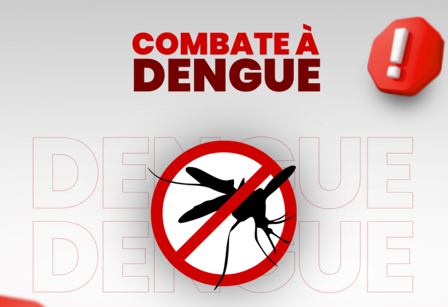 Combate á Dengue 