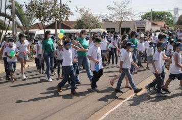 Foto - Desfile 7 de setembro