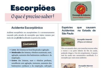 Campanha de Enfrentamento ao Escorpião no município.