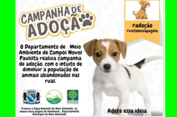 CAMPANHA DE ADOÇÃO DE ANIMAIS