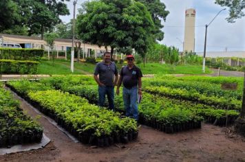 Cooperação entre Departamento Municipal de Meio Ambiente e Produtor Rural.