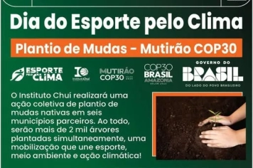 Mais Verde para o Futuro!