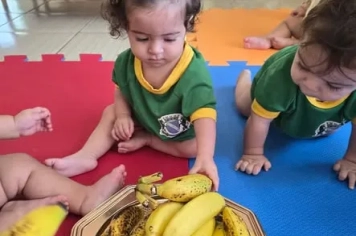 Descobrindo a Banana