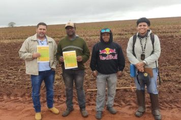 Estudos Arqueológicos em Campos Novos Paulista. 