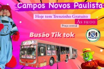 Bisão Tik Tok