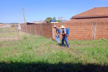 MANEJO PARA IMPLANTAÇÃO DE HORTA MUNICIPAL