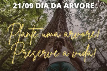 Dia da arvore 