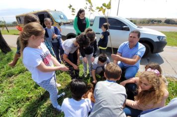 Departamento Municipal de Meio Ambiente realiza plantio de árvores junto com Escola Municipal.
