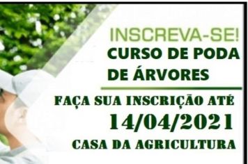 Curso de poda de arvores.