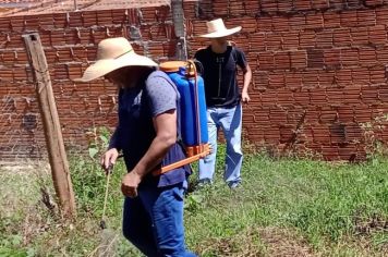 MANEJO PARA IMPLANTAÇÃO DE HORTA MUNICIPAL