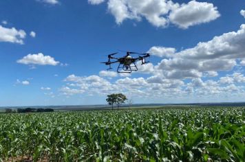 MUNICÍPIO DE CAMPOS NOVOS PAULISTA INTEGRA O PROGRAMA MILHO + SP COM EXPERIMENTOS PARA AUMENTO DE PRODUTIVIDADE NA CULTURA DO MILHO COM EMPREGO DE GRANDES TECNOLOGIAS.