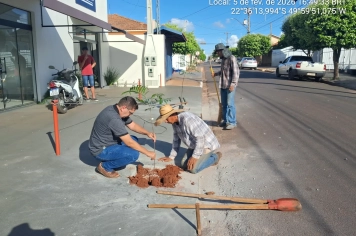 Meio Ambiente Promove Plantio de Árvores para Fortalecer a Arborização Urbana