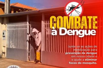 Combate á Dengue 