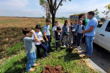 Estudos Arqueológicos em Campos Novos Paulista. 