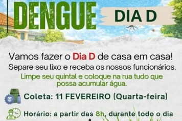 Dia D de Mobilização contra a Dengue