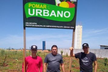 POMAR URBANO - MANUTENÇÃO E MANEJO.