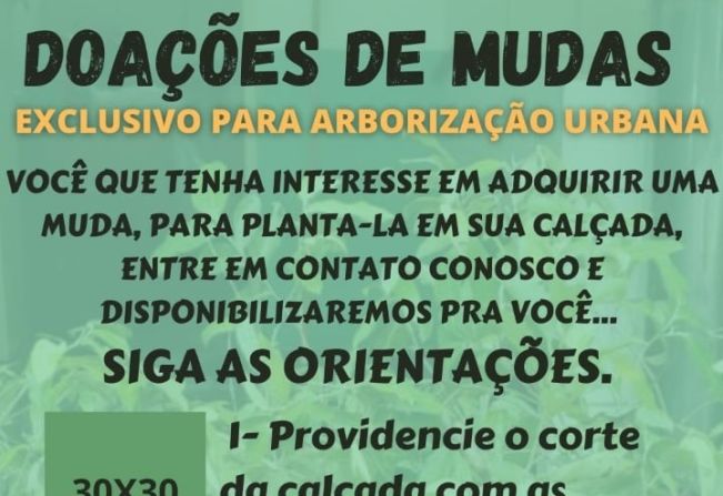 DOAÇÃO DE MUDAS