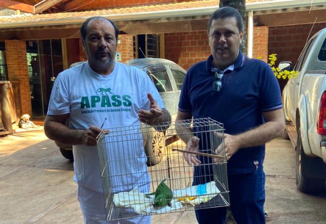 Associação Protetora de Animais Silvestres - APASS