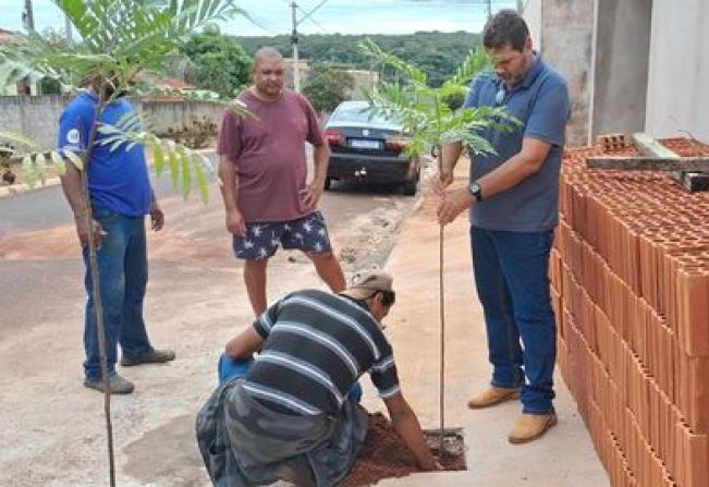 DEPARTAMENTO MUNICIPAL DE MEIO AMBIENTE