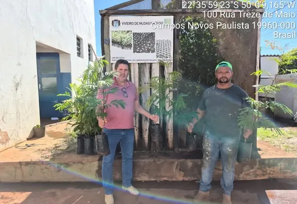 Meio Ambiente realiza entrega de mudas para arborização urbana