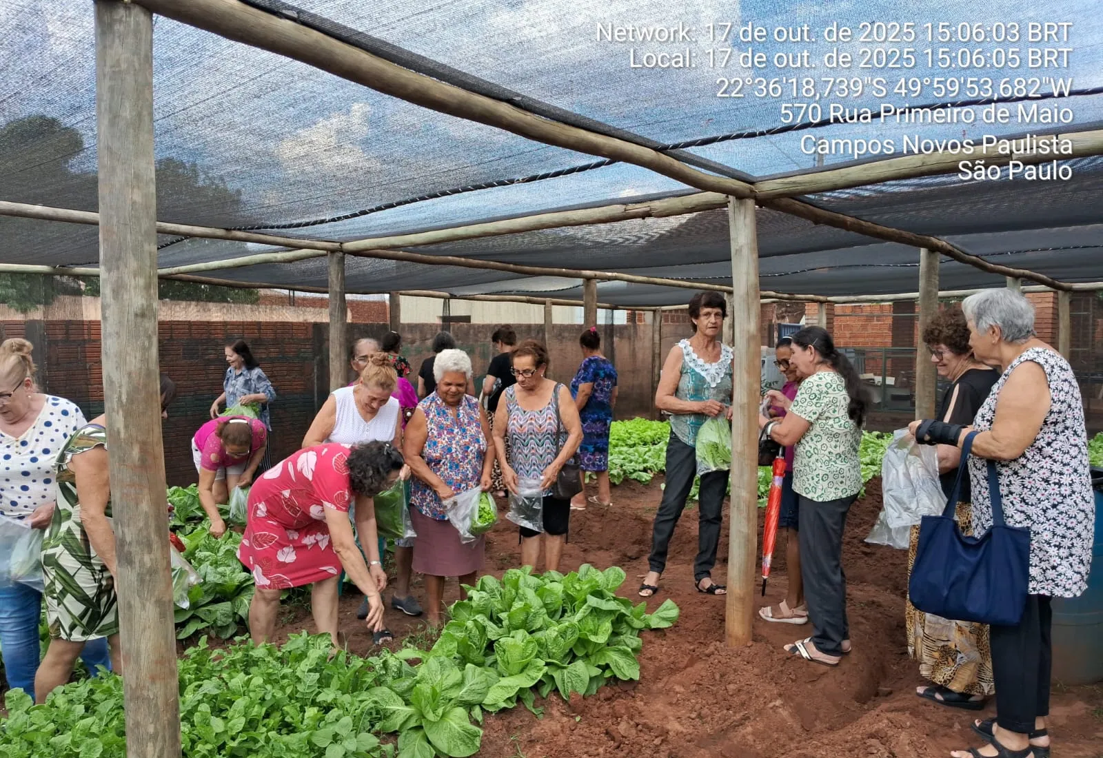 Horta Urbana gera alimentos e bem-estar para a 3ª Idade em Campos Novos Paulista