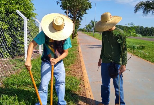 Plantio de Árvores (Pista de Cooper)