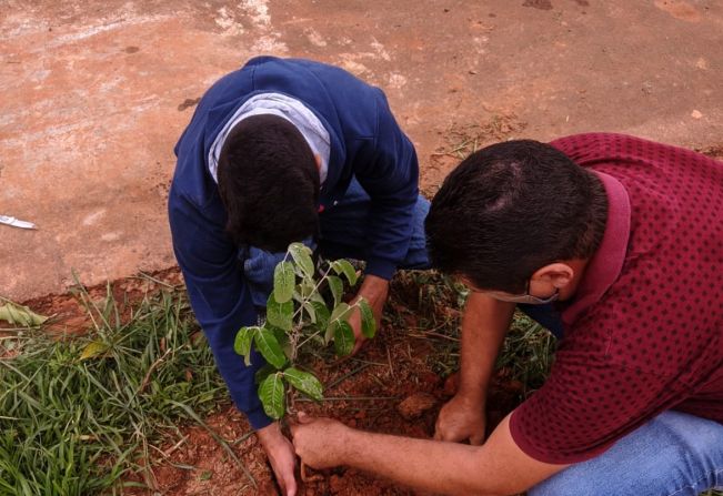 Doação de mudas para a arborização urbana.