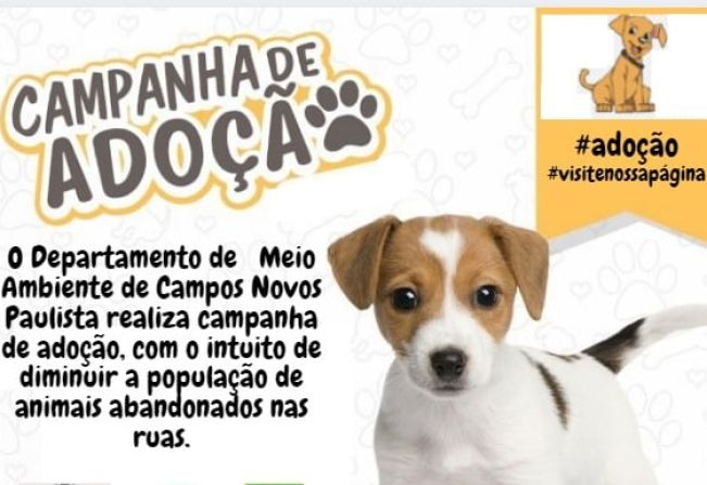 CAMPANHA DE ADOÇÃO DE ANIMAIS