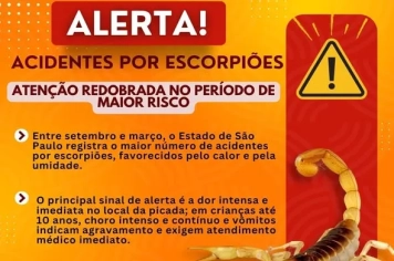 Cuidado redobrado com escorpiões!